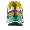 SALOMON XA Pro 3D V9 Gore-Tex “Transparent Yellow Black”