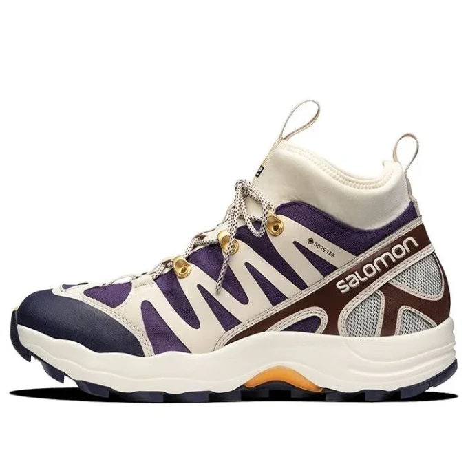 Xa Pro 1 Mid Gore-Tex “Cream Purple Brown”