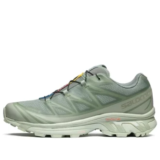 XT-6 Gore-Tex “Desert Sage Lily Pad”