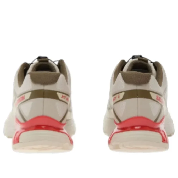 XT-Pathway 2 “Rainy Day Stone Gray Cherry Tomato”