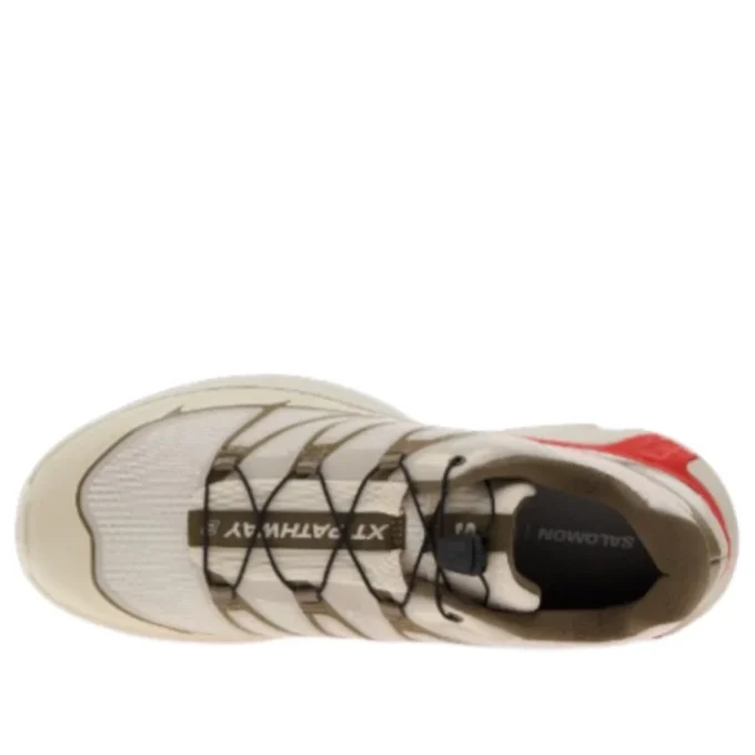 XT-Pathway 2 “Rainy Day Stone Gray Cherry Tomato”