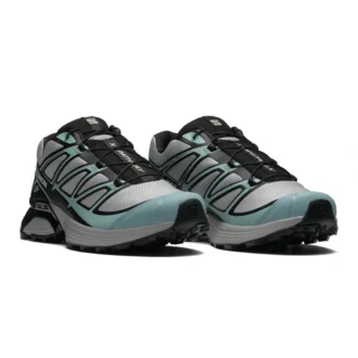 XT-Pathway “Ghost Grey Arona”